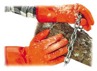 Polar Grip Gloves